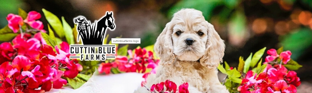 User banner image
