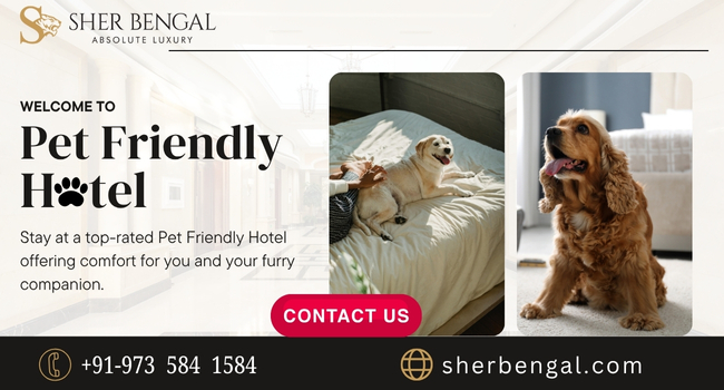 Pet Friendly Hotel