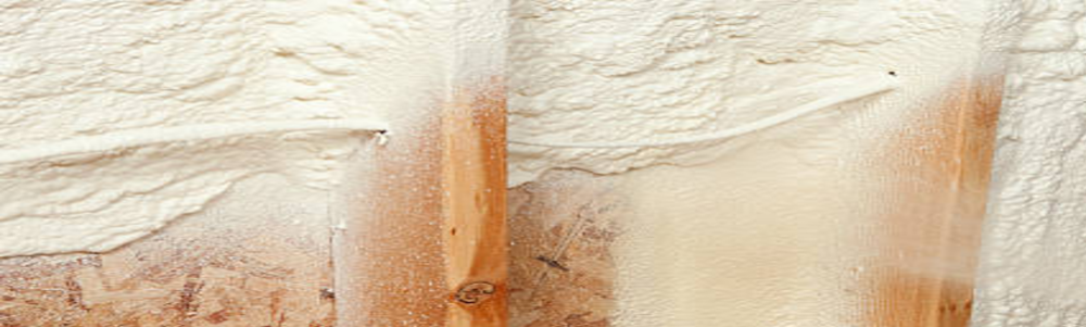 User banner image