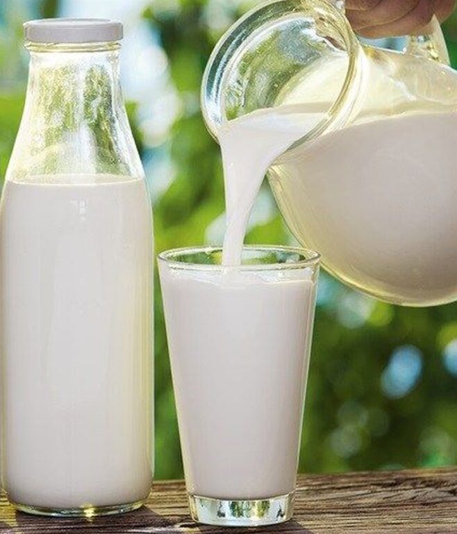 Fresh Milk 1