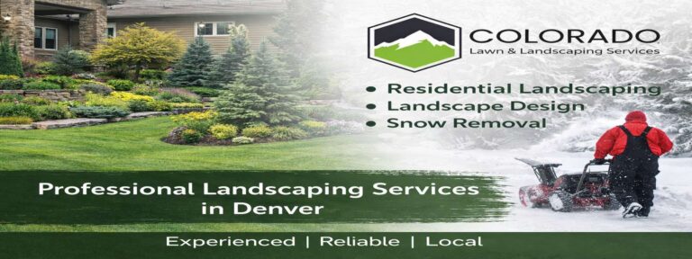 colorado banner under 200kb 768x288