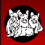 French Bulldogs LA