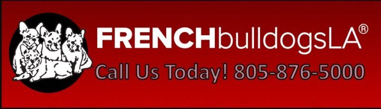 frenchbulldogsLA logo 768x220