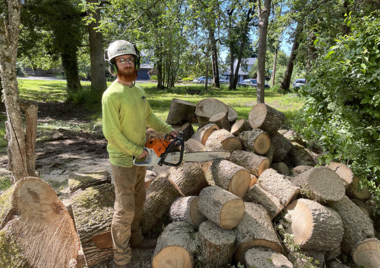pdx tree service image 768x542