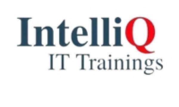 IntelliQ IT Image