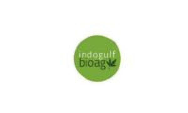 Untitled design 66 rv82ea5c1i678nyy80o7s74l7j2wd9ucv18lcabaj4