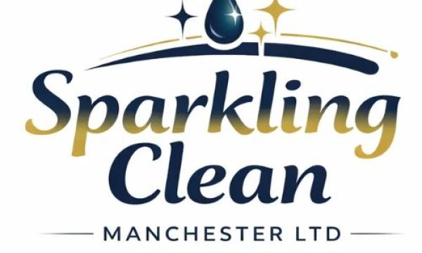 sparklink clean logo